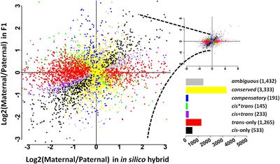 The Effects of Gene Duplication Modes on the Evolution of Regulatory Divergence in Wild and Cultivated Soybean